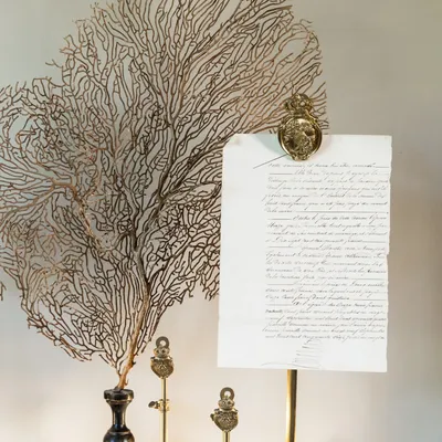 Objets de décoration - Coraux - ATELIERS DAVOY