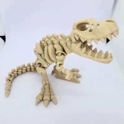 Gifts - Articulated dinosaur skeleton figures! - ZANIMIZ
