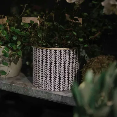 Décorations florales - Set de cache-pots Les noirs et blancs - BONCOEURS