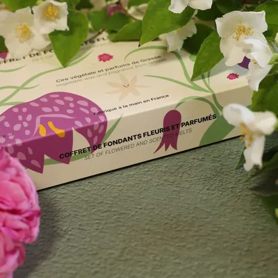 Parfums d'intérieur - Coffret fondants parfumés - MAISON SÉJOUR