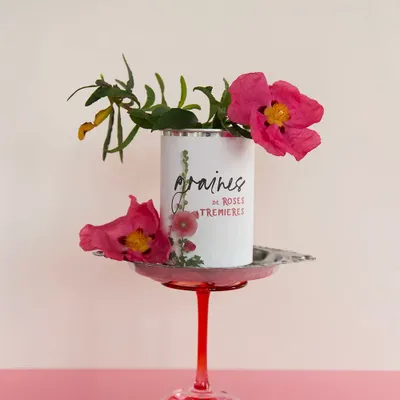 Cadeaux - Kit à semer "Graines de roses trémières" Fabriqué en France - MAUVAISES GRAINES