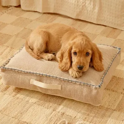 Accessoires animaux - ACCESSOIRES POUR ANIMAUX DE COMPAGNIE - CALMA HOUSE