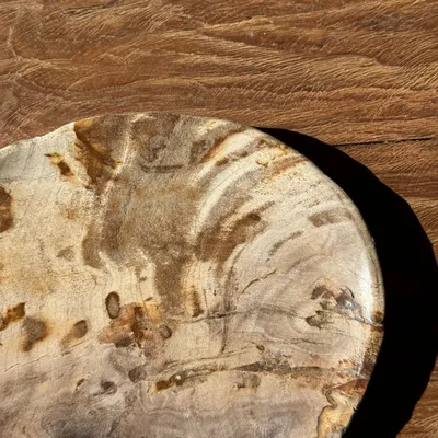 Assiettes de réception - Petit vide poche ou plat en bois pétrifié beige tache noire D20x17 - OFFICE OBJETS