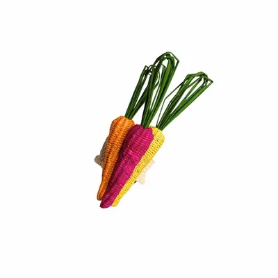 Plats et saladiers - Rainbow Carrots Napkin Ring - CORO CORA