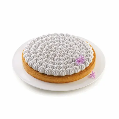 Kitchen utensils - KIT TARTE MERINGUÉ - SET RING + SILICONE DECORATIVE MAT ø250 MM - SILIKOMART S.R.L.