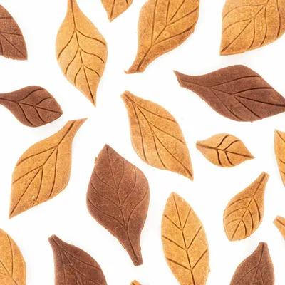 Kitchen utensils - VOILA' COOKIE - LEAVES - COOKIE SHAPER 240X150 H 20 MM - SILIKOMART S.R.L.