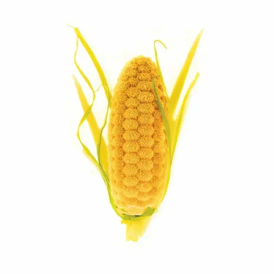 Kitchen utensils - PANNOCCHIA 20 - SILICONE MOULD N.12 PANNOCCHIE 68X26 H21 MM - SILIKOMART S.R.L.