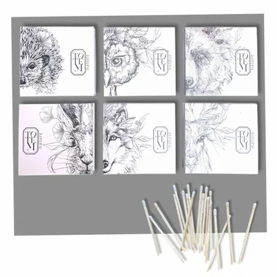 Candles - Collection of 6 matchboxes - TOTEM NATURE
