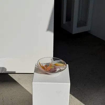 Plats et saladiers - Coupe en verre soufflé rose contemporaine Carlos Vieira D21 - OFFICE OBJETS