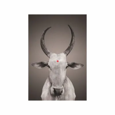 Art photos - NO-MAD Nandi Portrait Canvas Wall Art - NO-MAD