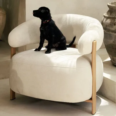 Armchairs - Julio - white - DESIGN TRIP