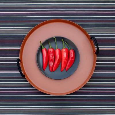 Platter and bowls - NO-MAD Thali Tray in PU Coated Stainless Steel and Cotton Cord - NO-MAD