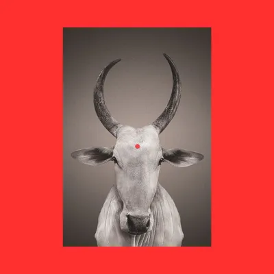 Photos d'art - NO-MAD Nandi Portrait Canvas Wall Art - NO-MAD