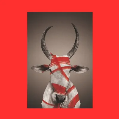 Photos d'art - NO-MAD Nandi Portrait Canvas Wall Art - NO-MAD