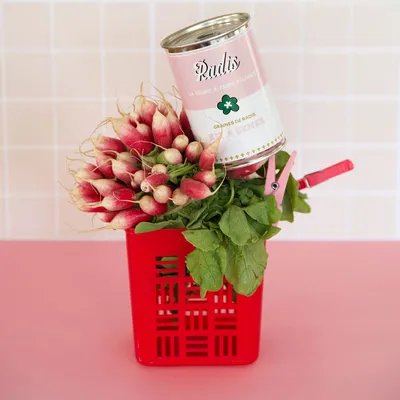 Garden accessories - seed kit\" radish soup\” Made in France - MAUVAISES GRAINES