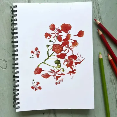 Stationery - Notebook - Les Flamboyants - POP ET SES FRÈRES