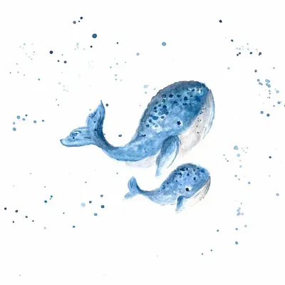 Affiches - Affiche - Les Baleines Bleues - POP ET SES FRÈRES