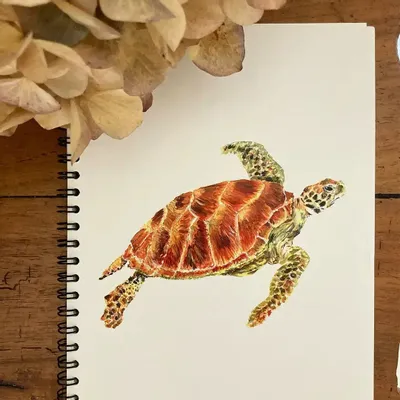 Papeterie - Carnet de Notes La Tortue Verte - POP ET SES FRÈRES