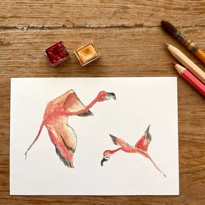 Card shop - Postcard Les Flamants Volants - POP ET SES FRÈRES