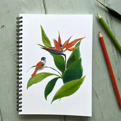 Stationery - Notebook - L'Oiseau de Paradis - POP ET SES FRÈRES