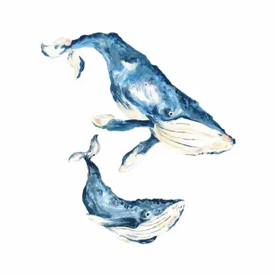 Affiches - Affiche Les Baleines Océan - POP ET SES FRÈRES