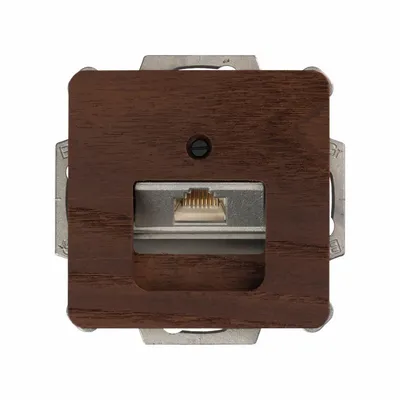 Office design and planning - Network product 1 x Cat. 6 / cat. 6A terminal - WEMEL WOOD