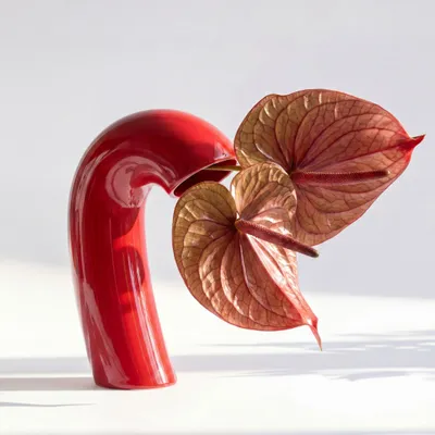 Vases - Vase VITA – Rouge Poppy - BIBAH