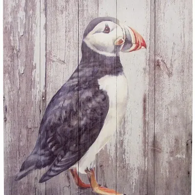 Tableaux - Tableau macareux sur base bois (pin) - dim. 33x25 cm - TRADE WINDS