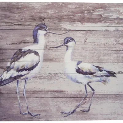 Tableaux - Tableau avocettes élégantes sur base bois (pin) - dim. 33x25 cm - TRADE WINDS