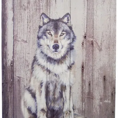 Tableaux - Tableau loup sur base bois (pin) - dim. 33x25 cm - TRADE WINDS