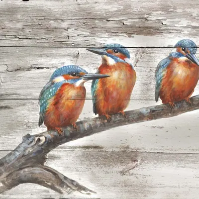 Paintings - Kingfisher wooden frame, (UV=8 pcs), dim. 13”x 9”5/6 - TRADE WINDS