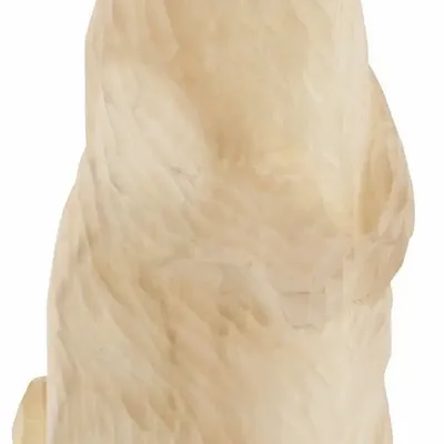 Sculptures, statuettes et miniatures - Marmotte en bois brut, H : 20 cm - TRADE WINDS