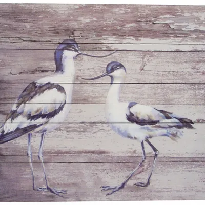 Tableaux - Tableau avocettes élégantes sur base bois (pin) - dim. 33x25 cm - TRADE WINDS