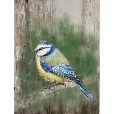 Tableaux - Tableau mésange bleue sur base bois - 33 x 25 cm (pin) - TRADE WINDS