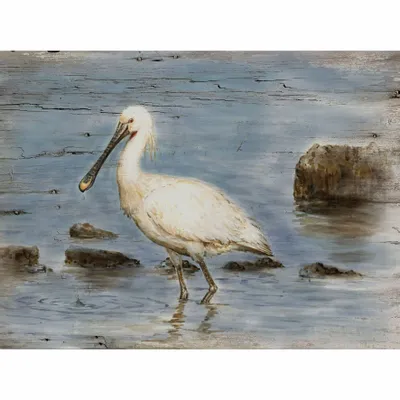 Tableaux - Tableau spatule sur base bois - 33 x 25 cm (pin) - TRADE WINDS