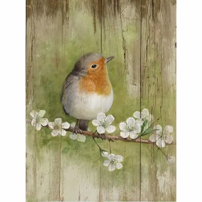 Tableaux - Tableau rouge gorge sur base bois 33x25cm (pin) - TRADE WINDS