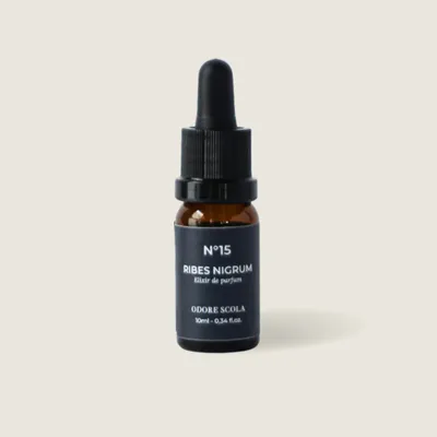 Céramique - Céramique parfumée Cicimandrum - ODORE SCOLA