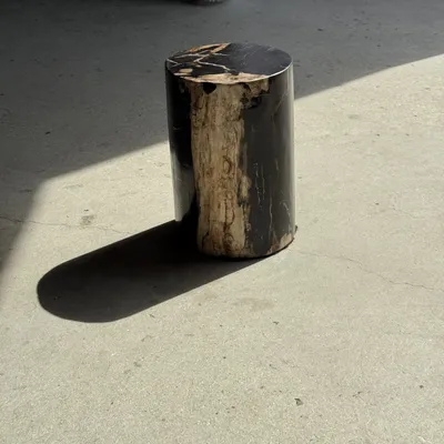 Coffee tables - Small side table in black petrified wood with beige stripes and sides - OFFICE OBJETS