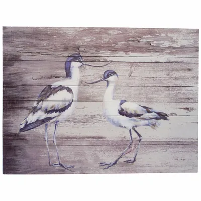Paintings - Avocets wooden frame, (UV = 8 pcs) - dim : 13"x9"5/6 - TRADE WINDS