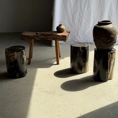 Coffee tables - Side table in black petrified wood with beige stripes fine network H35 - OFFICE OBJETS