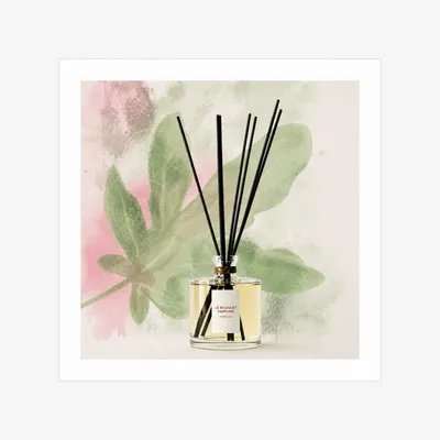 Diffuseurs de parfums - Bouquet parfumé Ficaria - ODORE SCOLA