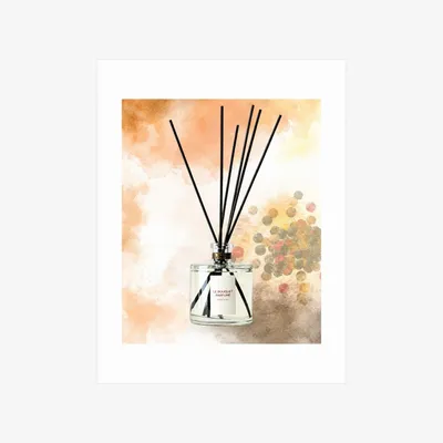 Scent diffusers - Bouquet parfumé Cicimandrum - ODORE SCOLA