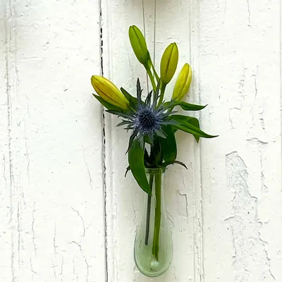 Scent diffusers - Zarra soliflora - LA MAISON DAR DAR