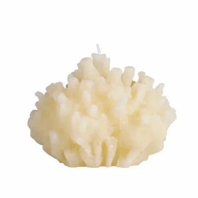 Candles - SIR LANKESTER CORAL COLLECTION - CERABELLA SL