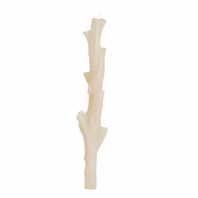 Candles - SIR LANKESTER CORAL CANDLEHOLDER COLLECTION - CERABELLA SL