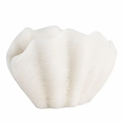 Bougies - SIR LANKESTER SHELL - CERABELLA SL