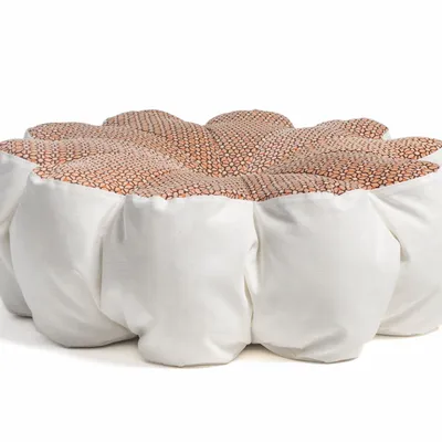 Outdoor pools - PINKY FLOWER | Floating cushion | 105 x h22 cm - COZIP