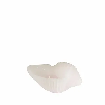 Bougies - SIR LANKESTER CARGOL S - CERABELLA SL