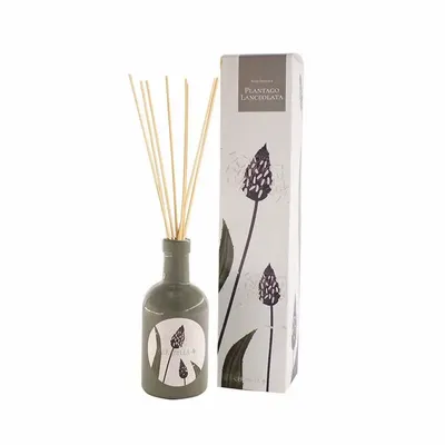 Candles - FLORA SILVESTRIS CASCALVEL PLANTAGO LANCEOLATA COLLECTION - CERABELLA SL