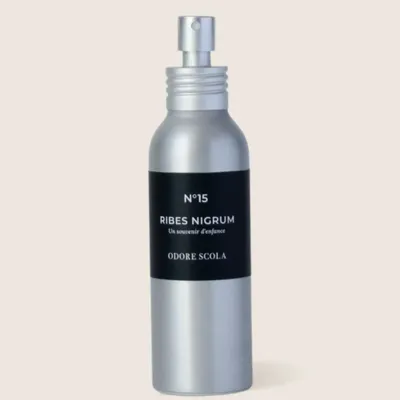 Parfums d'intérieur - N°15 - Ribes Nigrum - ODORE SCOLA